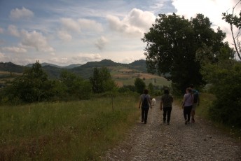 Truffle Market_Valli_Unite_luglio 2023_038.jpg