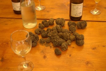 Truffle Market_Valli_Unite_luglio 2023_101.jpg