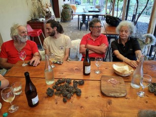 Truffle Market_Valli_Unite_luglio 2023_cell_002.jpg