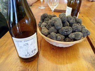 Truffle Market_Valli_Unite_luglio 2023_cell_008.jpg