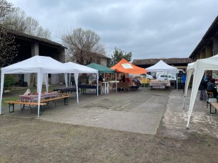 Festa_di_primavera_Gottolengo_2025_4.jpg